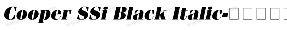 Cooper SSi Black Italic字体转换